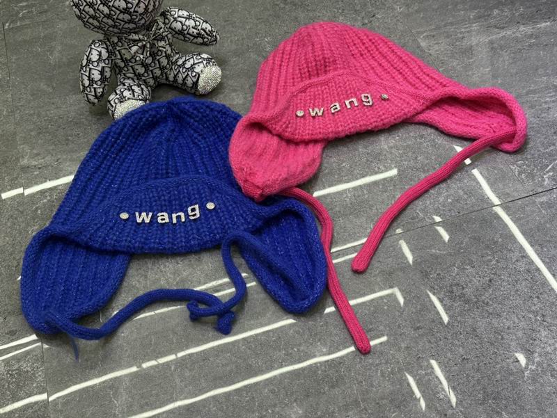 Alexander Wang hat dx02